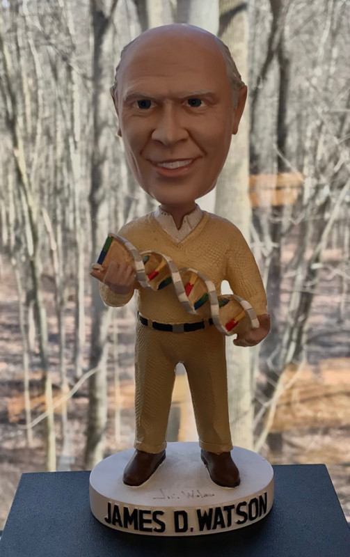 39802Signed Bobblehead of DNA Pioneer, James D. Watson